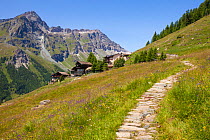 Path leading towards Rifugio Ferraro, Resy, Aosta Valley, Monte Rosa Massif, Pennine Alps, Italy. July 2012