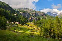 Abandoned farm buildings in mountain landscape, Aosta Valley, Monte Rosa Massif, Pennine Alps, Italy. July 2012