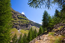 Vallone di Valelle, Gran Paradiso National Park, Aosta Valley, Pennine Alps, Italy. July.
