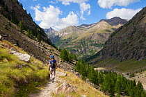 Hiker in Vallone di Valelle, Gran Paradiso National Park, Aosta Valley, Pennine Alps, Italy. July 2012