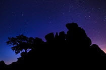 Robin Hood's Stride, an outcrop of gritstone, silhouetted against a starry night sky, Peak District National Park, Derbyshire. September