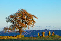 Nine Stone Close stone circle, Peak District National Park, Derbyshire, UK. November.