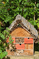 Artificial nesting place for insects 'bug hotel'. Lower Saxony, Germany, September.