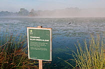 Warning sign highlighting the danger caused by a  Cyanobacteria / Blue-green (Trichodesmium erythraeum) algal bloom in a lake, Richmond Park, Surrey, England, UK, October.