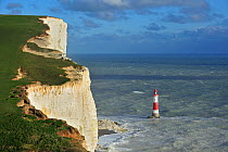 View over the eroded white chalk cliffs and lighthouse at Beachy Head, Sussex, UK, November 2012