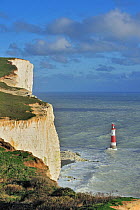 View over the eroded white chalk cliffs and lighthouse at Beachy Head, Sussex, UK, November 2012