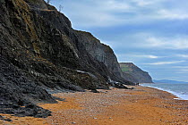 Black Ven landslide on beach between Lyme Regis and Charmouth along the Jurassic Coast, Dorset, UK, November 2012
