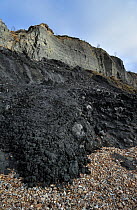 Black Ven landslide on beach between Lyme Regis and Charmouth along the Jurassic Coast, Dorset, UK November 2012