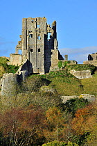Ruins of the medieval Corfe Castle in autumn on the Isle of Purbeck along the Jurassic Coast in Dorset, UK, November 2012