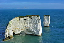 The eroded chalk sea stacks Old Harry Rocks at Handfast Point on the Isle of Purbeck along the World Heritage Site Jurassic Coast in Dorset, UK, November 2012
