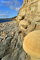 Rounded nodules on the beach near Osmington Mills, made of calcite-cemented sandstone from the Bencliff Grit Formation along the World Heritage Site Jurassic Coast, Dorset, UK, November 2012