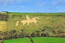 The Osmington White Horse, the figure of George III on horseback sculpted in 1808 into the limestone on Osmington Hill along the Jurassic Coast, Dorset, UK, November 2012