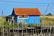 Colourful cabin at oyster farm at La Baudissiere near Dolus, on the island Ile d'Oleron, Charente-Maritime, France, September 2012