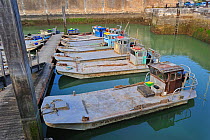 Oyster farming boats in the harbour at Le Chateau d'Oleron on the island Ile d'Oleron, Charente-Maritime, France, September 2012