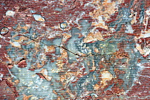 Close up of Red marble in rock face of stone quarry in the Belgian Ardennes, Belgium, August 2012