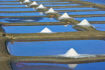 Salt pan for the production of Fleur de sel / sea salt on the island Ile de Re, Charente-Maritime, France, September 2012