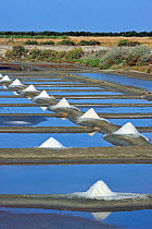 Salt pan for the poduction of Fleur de sel / sea salt on the island Ile de Re, Charente-Maritime, France September 2012