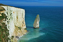 The eroded chalk sea stack The Pinnacles near Old Harry Rocks at Handfast Point on the Isle of Purbeck along the Jurassic Coast in Dorset, UK November 2012