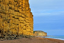 East Cliff, made of sandstone, near West Bay along the Jurassic Coast, Dorset, UK, November 2012