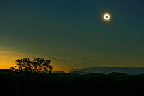 Total eclipse of the sun at totality. Palmer River, Queensland, Australia,  November 14, 2012.