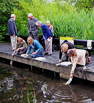 Adults from the London Natural History Society pond dipping at Camley Street nature reserve, King&#39;s Cross, London, UK, June 2009