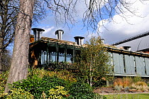 The Centre for Understanding the Environment (CUE) an eco building with cowls which incorporate a passive ventilation system on the green roof. The Horniman Museum London, UK