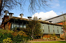 The Centre for Understanding the Environment (CUE) an eco building with cowls which incorporate a passive ventilation system on the roof. The Horniman Museum London, UK
