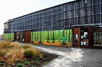 Failed green wall showing a metal frame and capillary matting before replanting. Children&#39;s Centre building, Paradise Park, Holloway, London, UK January 2010