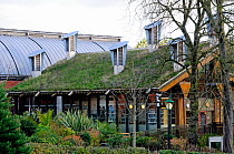 Green roof on The Centre for Understanding the Environment (CUE) an eco building with cowls on the roof which incorporate a passive ventilation system. The Horniman Museum, London, UK