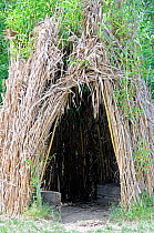 Entrance to willow teepee, Camley Street Natural Park, London Borough of Camden, UK