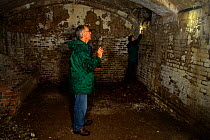 Members of the Kent Bat Group check an old cellar for roosting bats. Kent, UK, September 2010, Model released.
