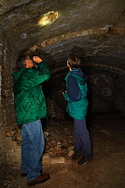 Members of the Kent Bat Group check an old cellar for roosting bats. Kent, UK, September, 2010 Model released.