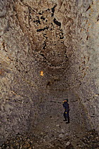 Kent Bat Group member surveying a denehole or chalk cave for hibernating bats, near Faversham, Kent, UK, January 2011. Model released.