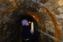 Kent Bat Group member surveys an old miniature railway tunnel for hibernating bats. Kent, UK, January 2011. Model released.