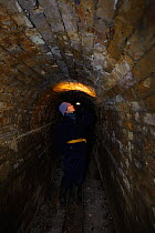 Kent Bat Group member surveying an old minature railway tunnel for hibernating bats. Kent, UK, January 2011. Model released.