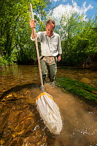 Volunteer for the Rivers Exe Projectdoing an invertebrate kick sample in the River Exe to check water quality, , Winsford, Exmoor National Park, Somerset, UK. May 2012. Model released.