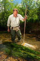 Volunteer for the Rivers Exe Projectdoing an invertebrate kick sample in the River Exe to check water quality,  Winsford, Exmoor National Park, Somerset, UK. May 2012. Model released.