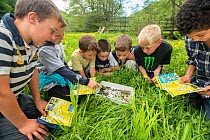School children trying to identify invertebrates from a kick sample from River Haddeo, Bury, Exmoor National Park, Somerset, UK. May 2012. Editorial use only. Did you know? There are 300 miles of name...