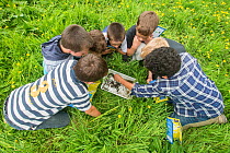School children trying to identify invertebrates from a kick sample from River Haddeo, Bury, Exmoor National Park, Somerset, UK. May 2012. Editorial use only