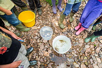 School children with bucket of salmon fry to be  released in the River Haddeo, with Westcountry Rivers Trust (WRT) warden. Bury, Exmoor National Park, Somerset, UK. May 2012.
