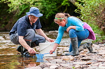 School child releases salmon fry in the River Haddeo, with Westcountry Rivers Trust (WRT) warden. Bury, Exmoor National Park, Somerset, UK. May 2012. Editorial use only