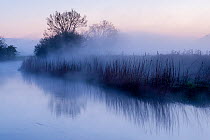 River Stour with early morning mist and frost, near Wimborne Minster, Dorset, UK. April 2012. Did you know? There are five different River Stours in the UK.