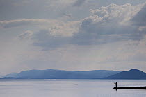 Man fishing on the shore of the Moray Firth, Fortrose, Scotland, UK, July 2012.