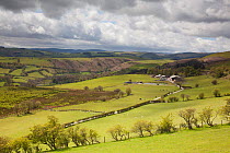 View of upland agricultural landscape in the Cambrian Mountains, part of the Pumlumon Living Landscape project, Ceredigion, Wales, May 2012.