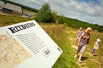 Family walking down path with information sign about reedbeds in forground, Brockholes Nature Reserve, Lancashire, England, UK, July.