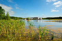 Landscape view over wetland pool, with visitor centre in background, Brockholes Nature Reserve, Lancashire, England, UK, July.