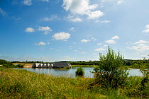 Landscape view over wetland pool, with visitor centre in background, Brockholes Nature Reserve, Lancashire, England, UK, July.
