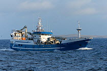Fraserburgh pelagic trawler 'Forever Grateful' fishing close to Eshaness, Shetland Isles, Scotland, UK, October 2012.