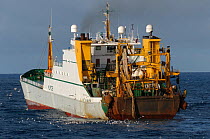 Factory ship 'Cornelis Vrolijk' (registered to Hull) fishing for Atlantic mackerel (Scomber scombrus) close to Eshaness, Shetland Isles, Scotland, UK, October 2012.