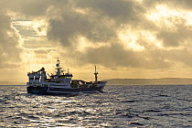 Fraserburgh pelagic trawler 'Forever Grateful' fishing for Atlantic mackerel (Scomber scombrus) close to Papa Stour, Shetland Isles, Scotland, UK, October 2012.